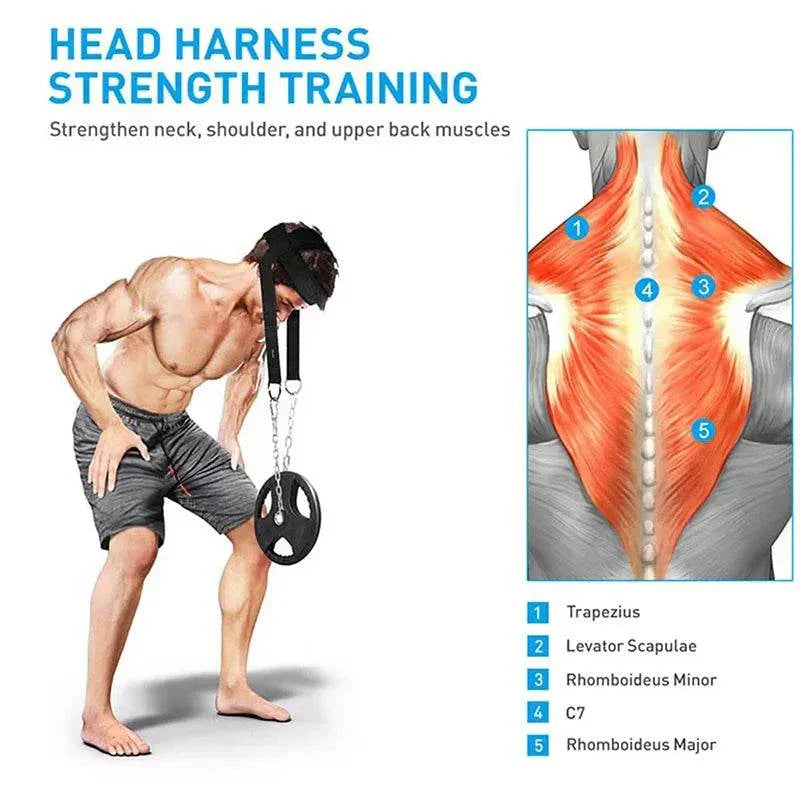 Head Harness Neck Workout